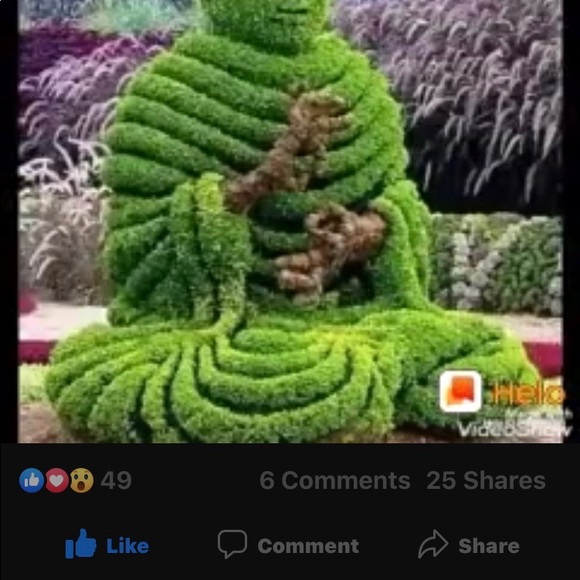 Meet your Posher, Ivilyn - Picture 4 of 11